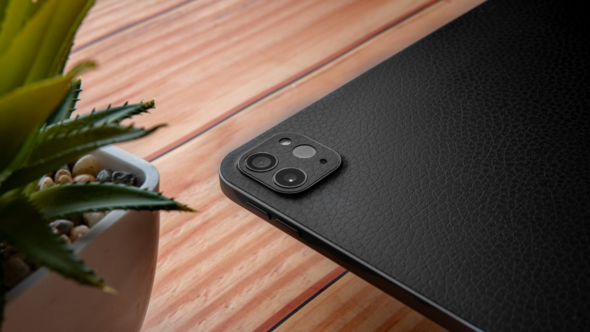 iPad Skins