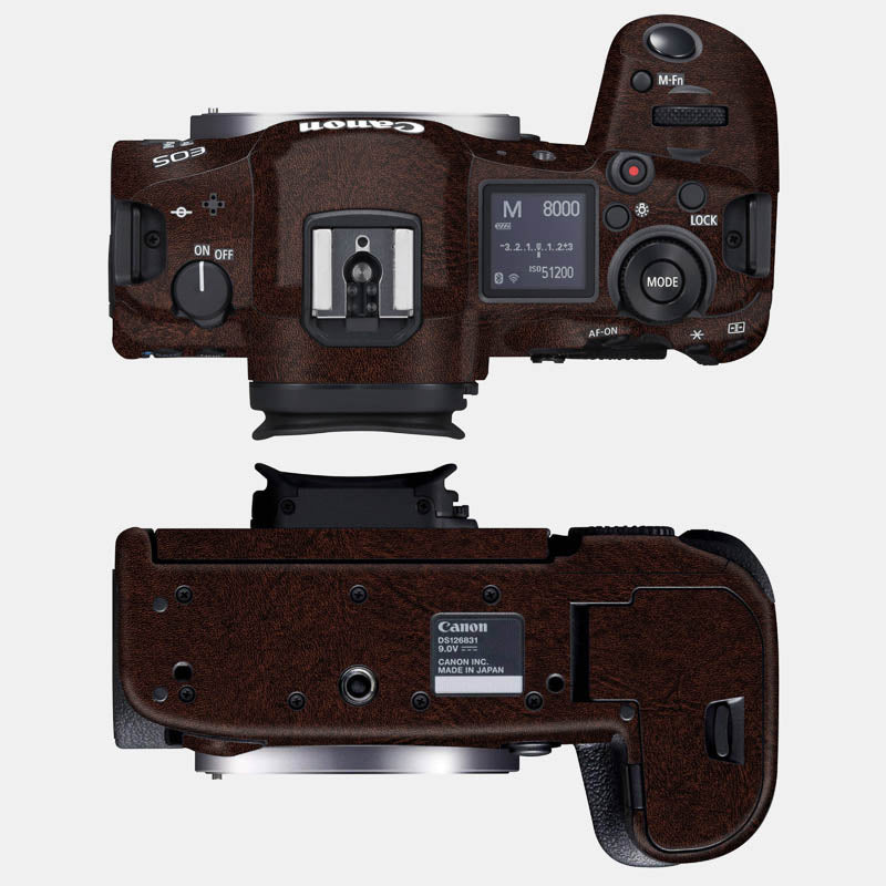 Brown Leather Full Body