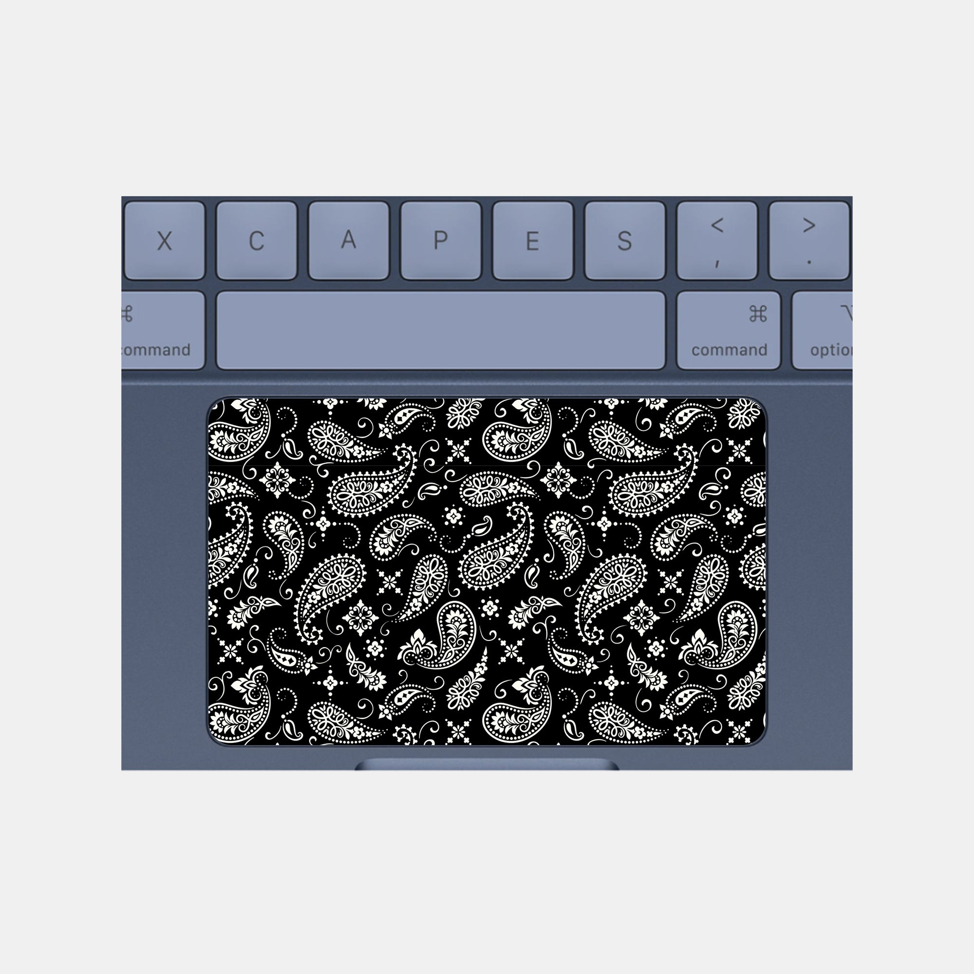 Black Paisley Full