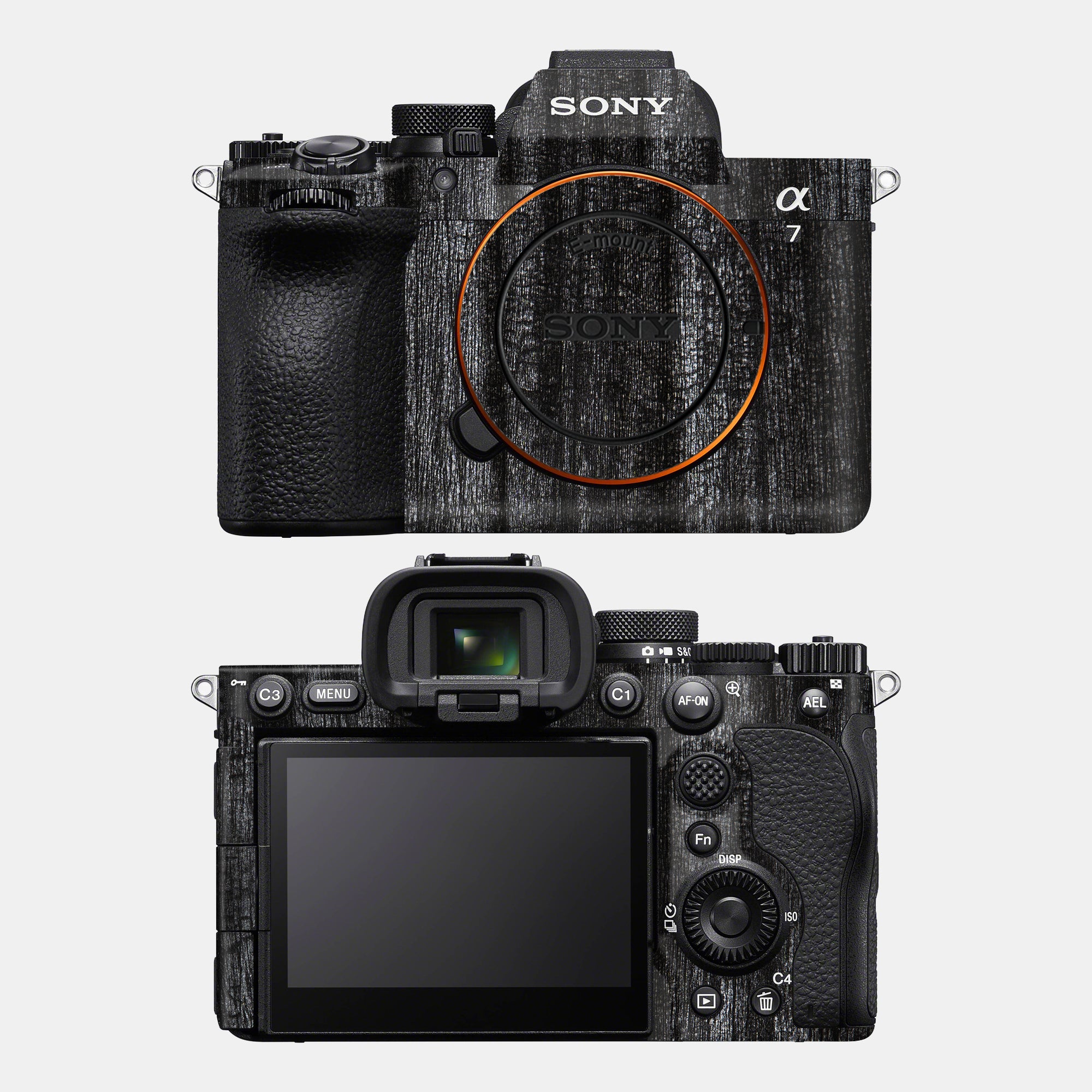 Black Panther Full Body