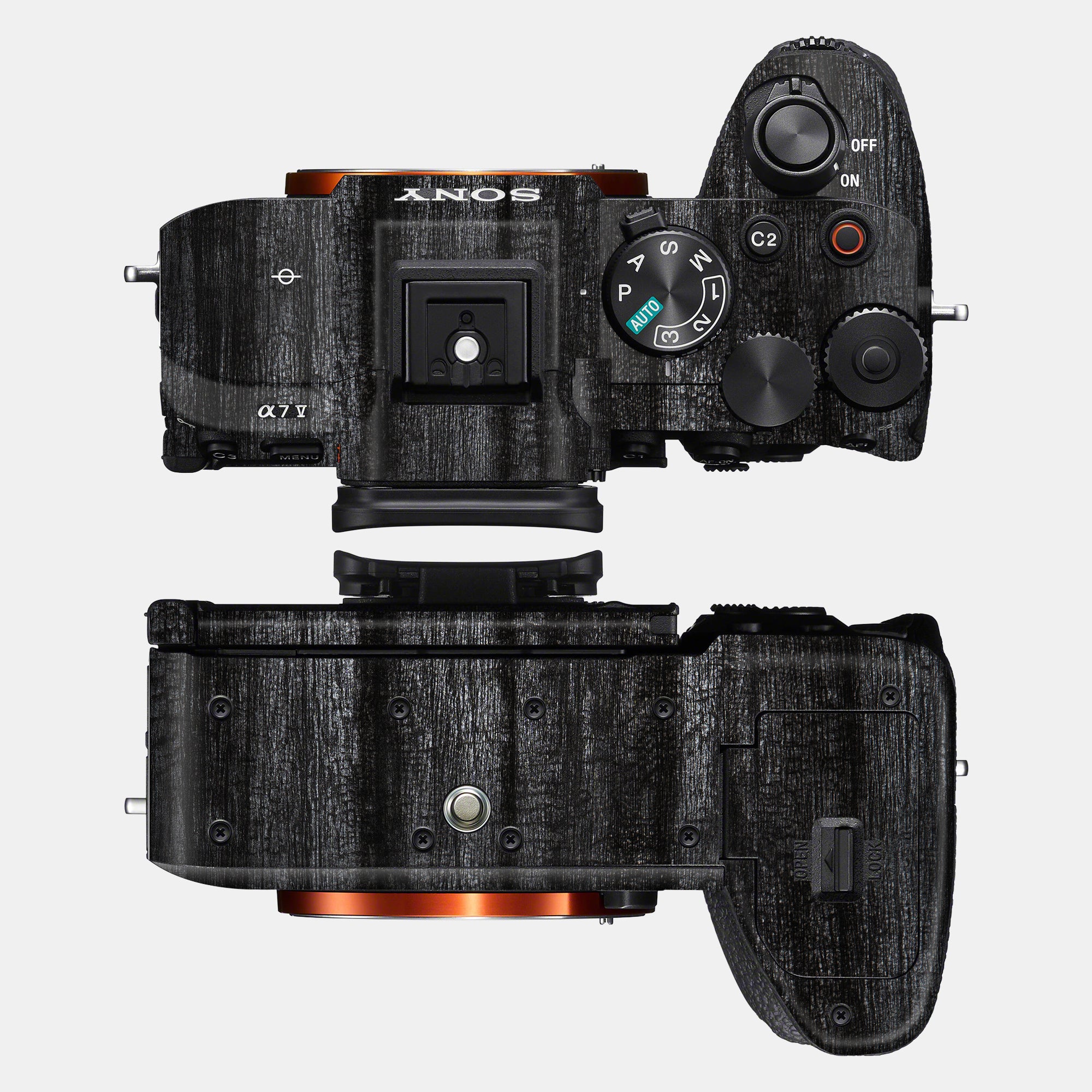 Black Panther Full Body