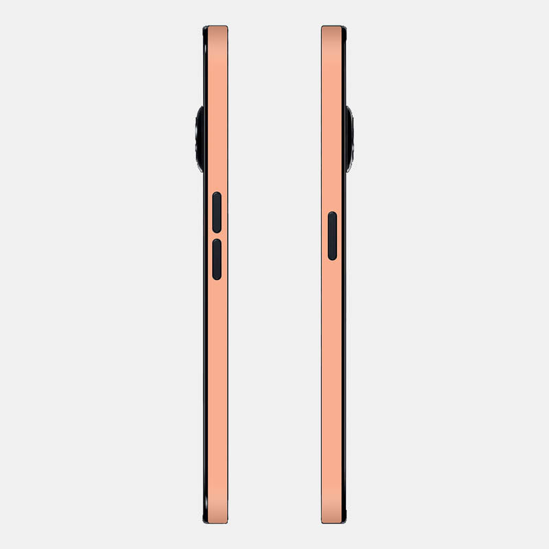 peach Glass Back