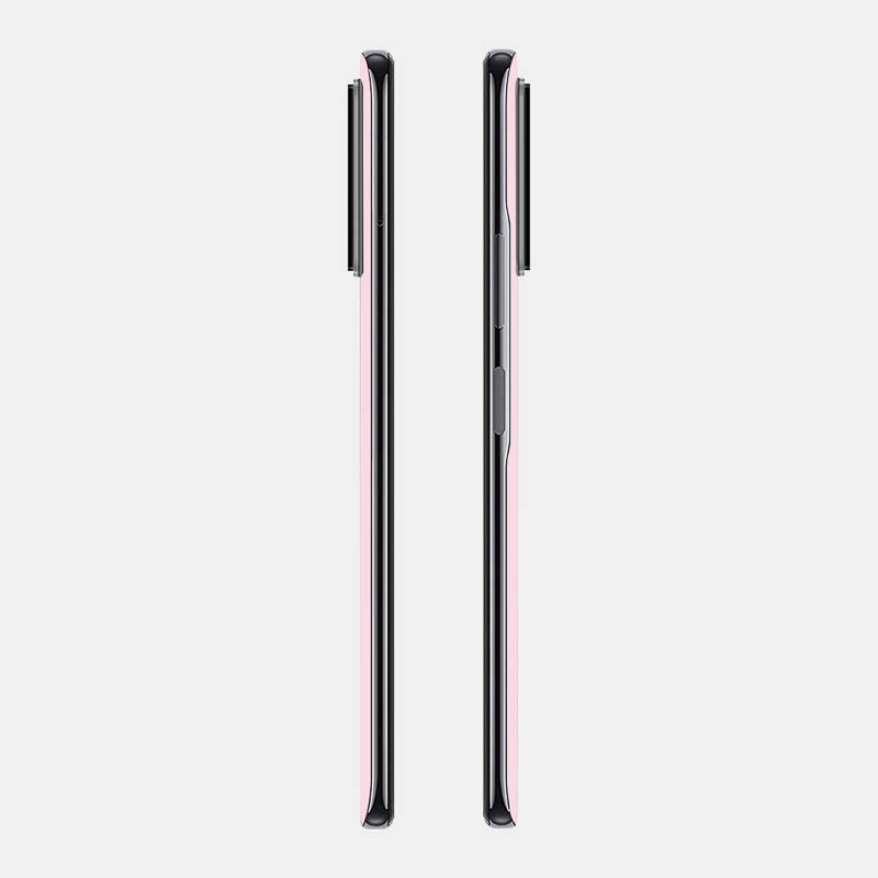 Pink Glass Back