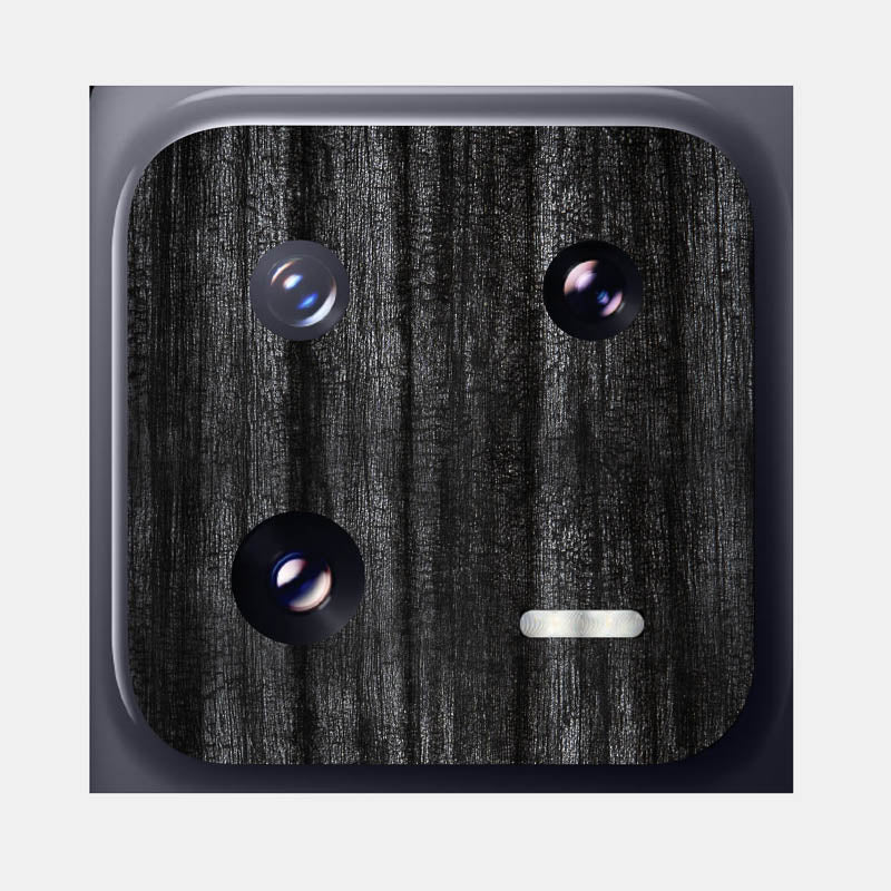 Black Panther Pack of 2