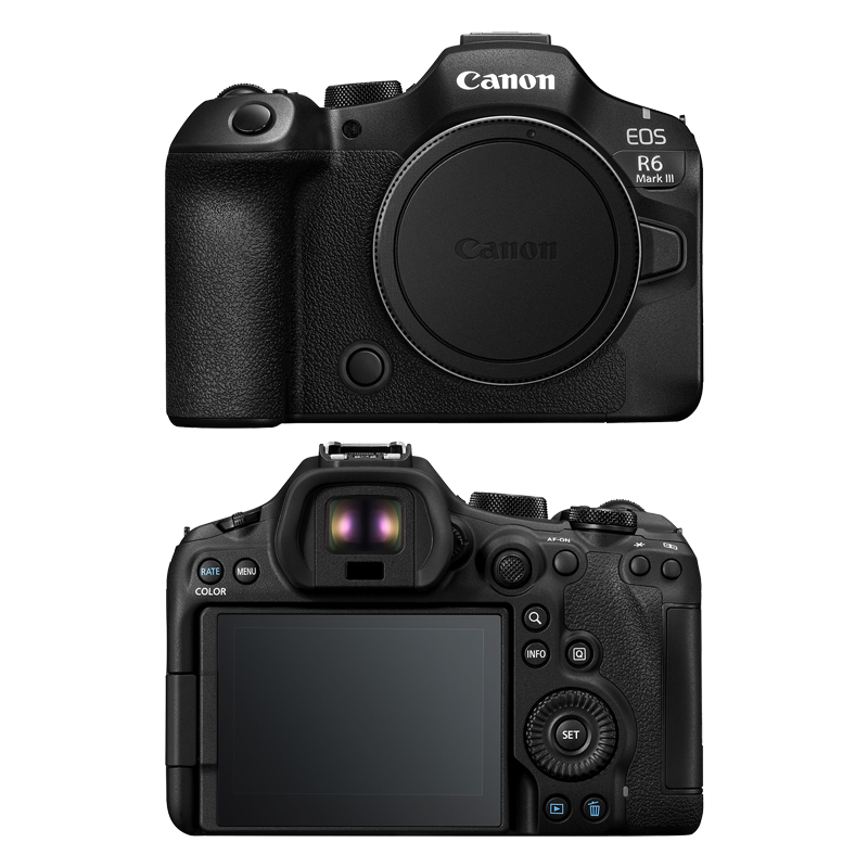 Canon EOS R6 Mark III Skins & Wraps