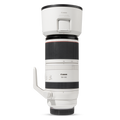 Canon RF 100-500mm F4.5-7.1 L IS USM Skins & Wraps