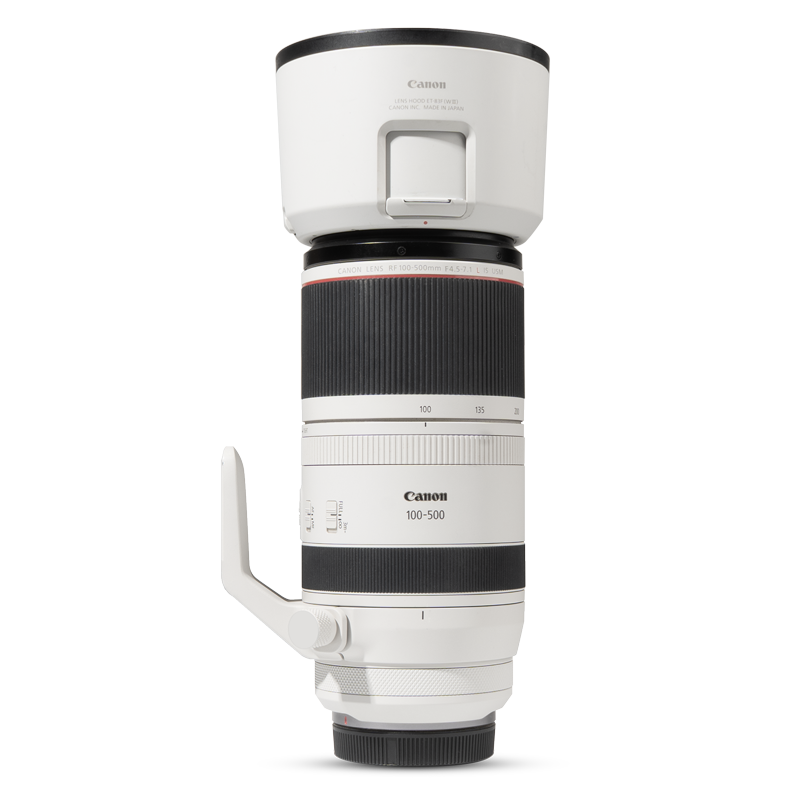 Canon RF 100-500mm F4.5-7.1 L IS USM Skins & Wraps