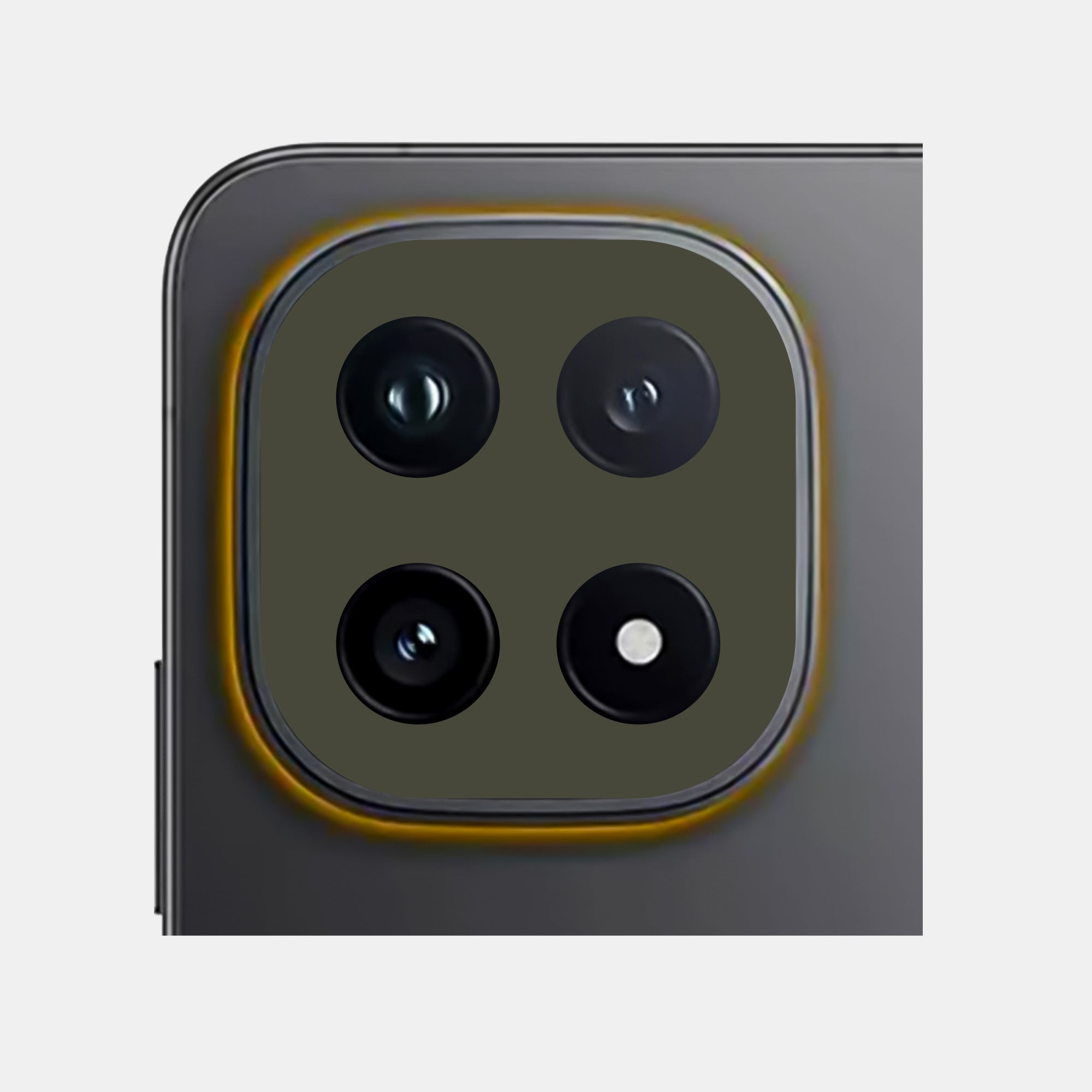 Alpine Green Pack of 2