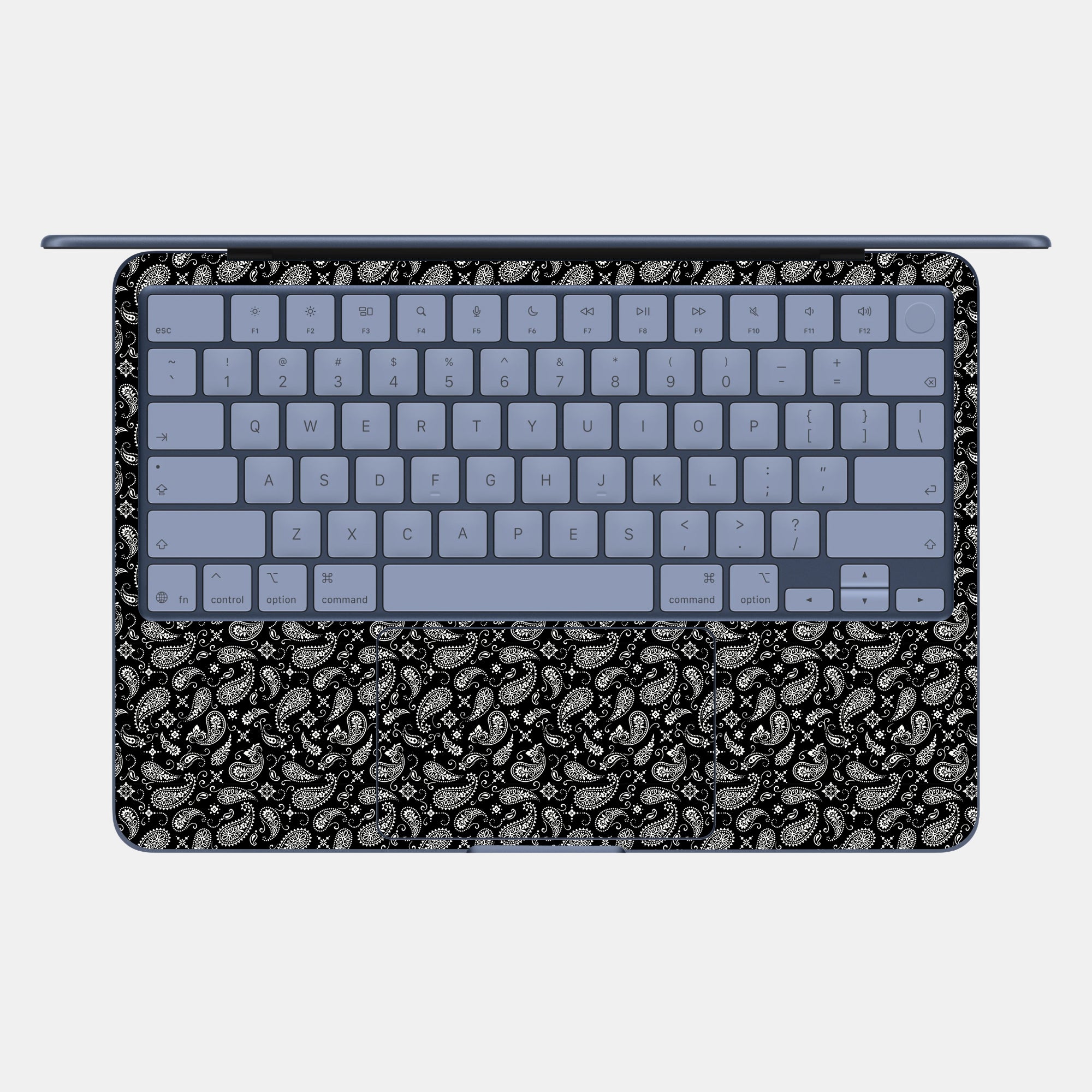 Black Paisley Max