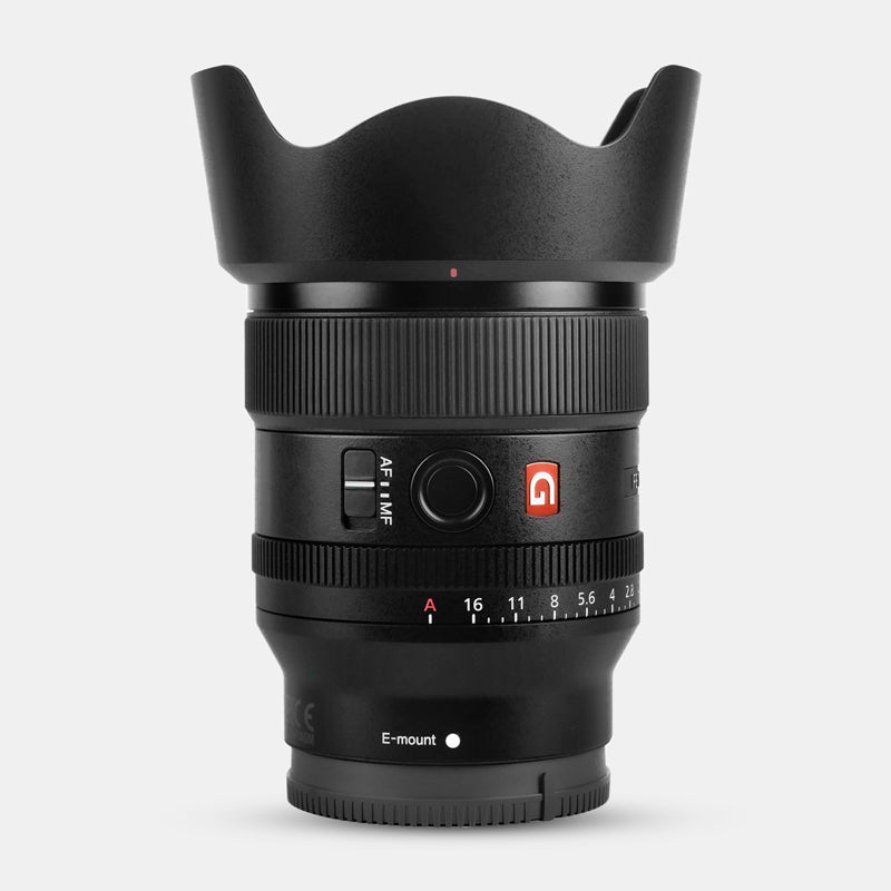 Sony FE 24mm F1.4 GM Skins & Wraps