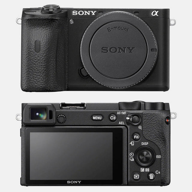 Sony A6600 Skins & Wraps
